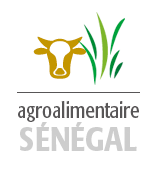 Logo FONSTAB — partenaire AVVITE-X